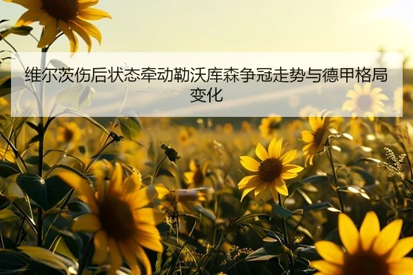 维尔茨伤后状态牵动勒沃库森争冠走势与德甲格局变化 | cc7c7.app